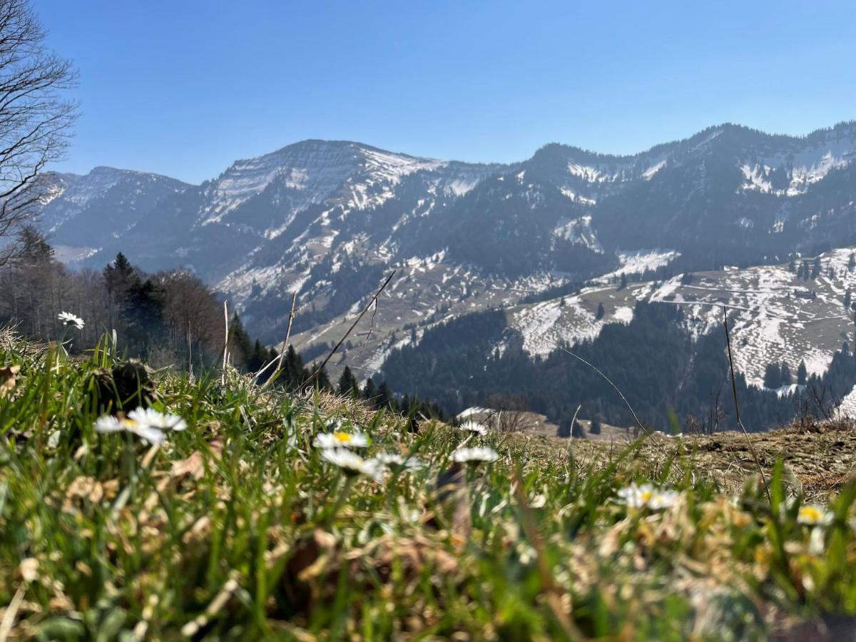 Lindner Hotel Oberstaufen Parkhotel, Part Of Jdv By Hyatt Dış mekan fotoğraf